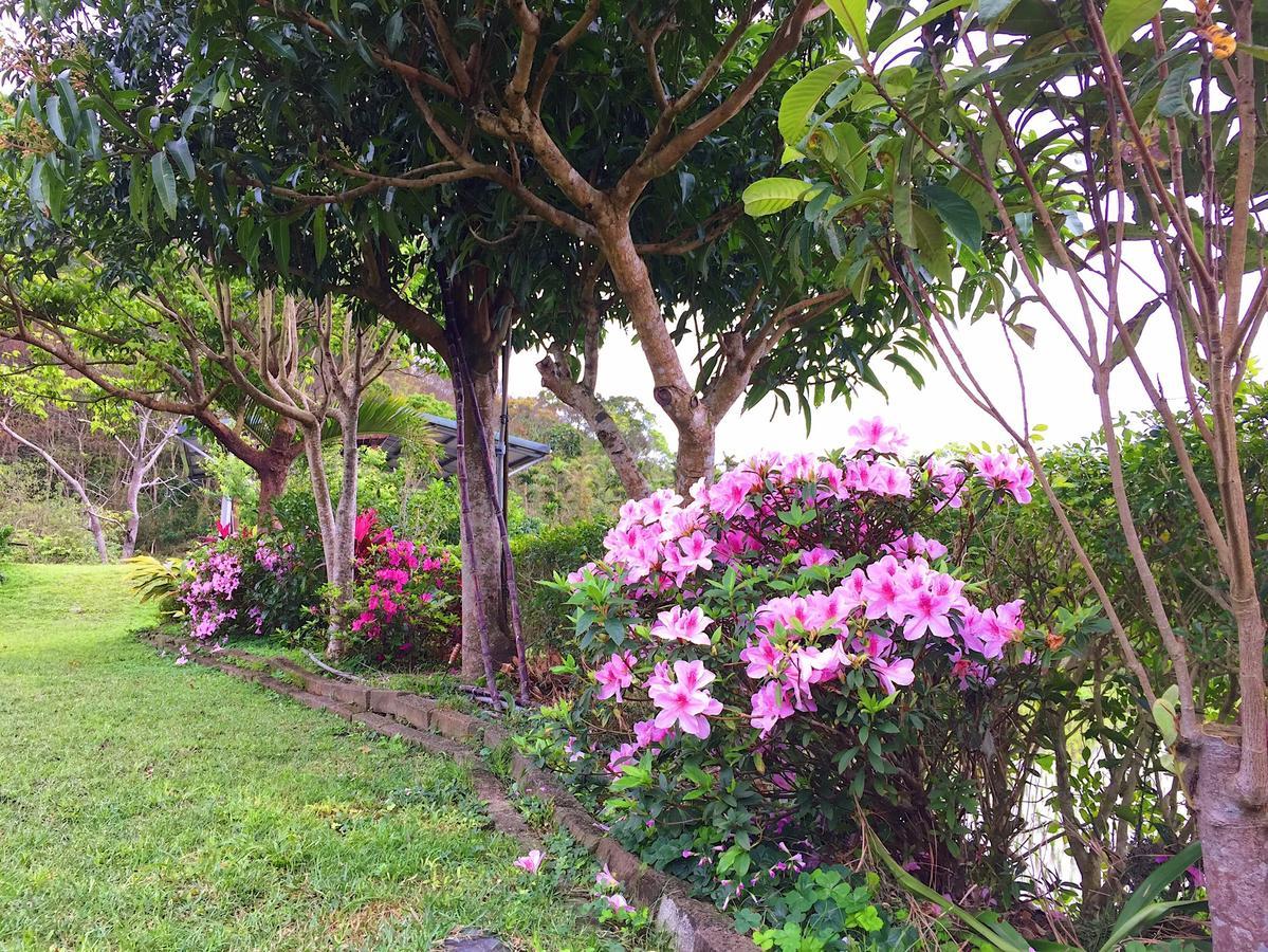 Jiu An Qing Jing Homestay Fuli Dış mekan fotoğraf